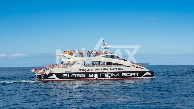 Catamarán visión submarina 80 Pax.