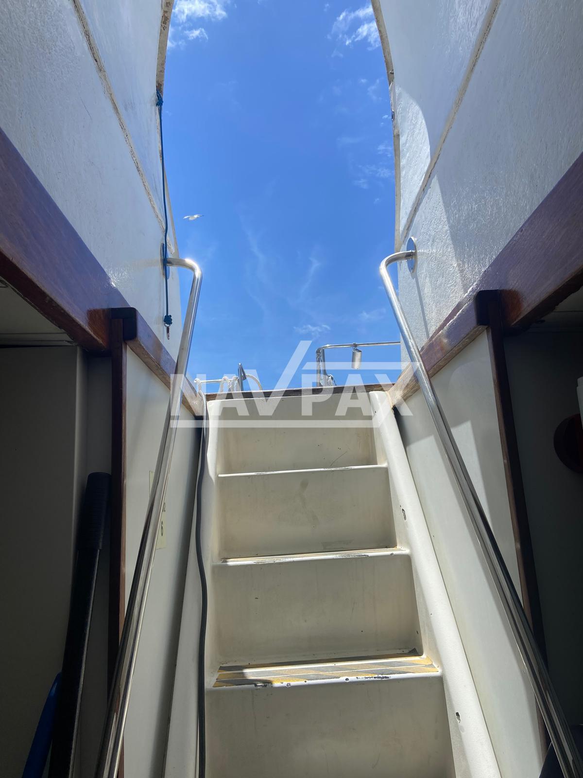 IMG 20250505 WA0040 IMG 20250505 WA0040