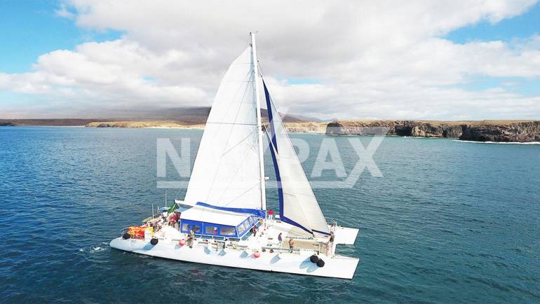 Catamarán a vela 150 Pax.