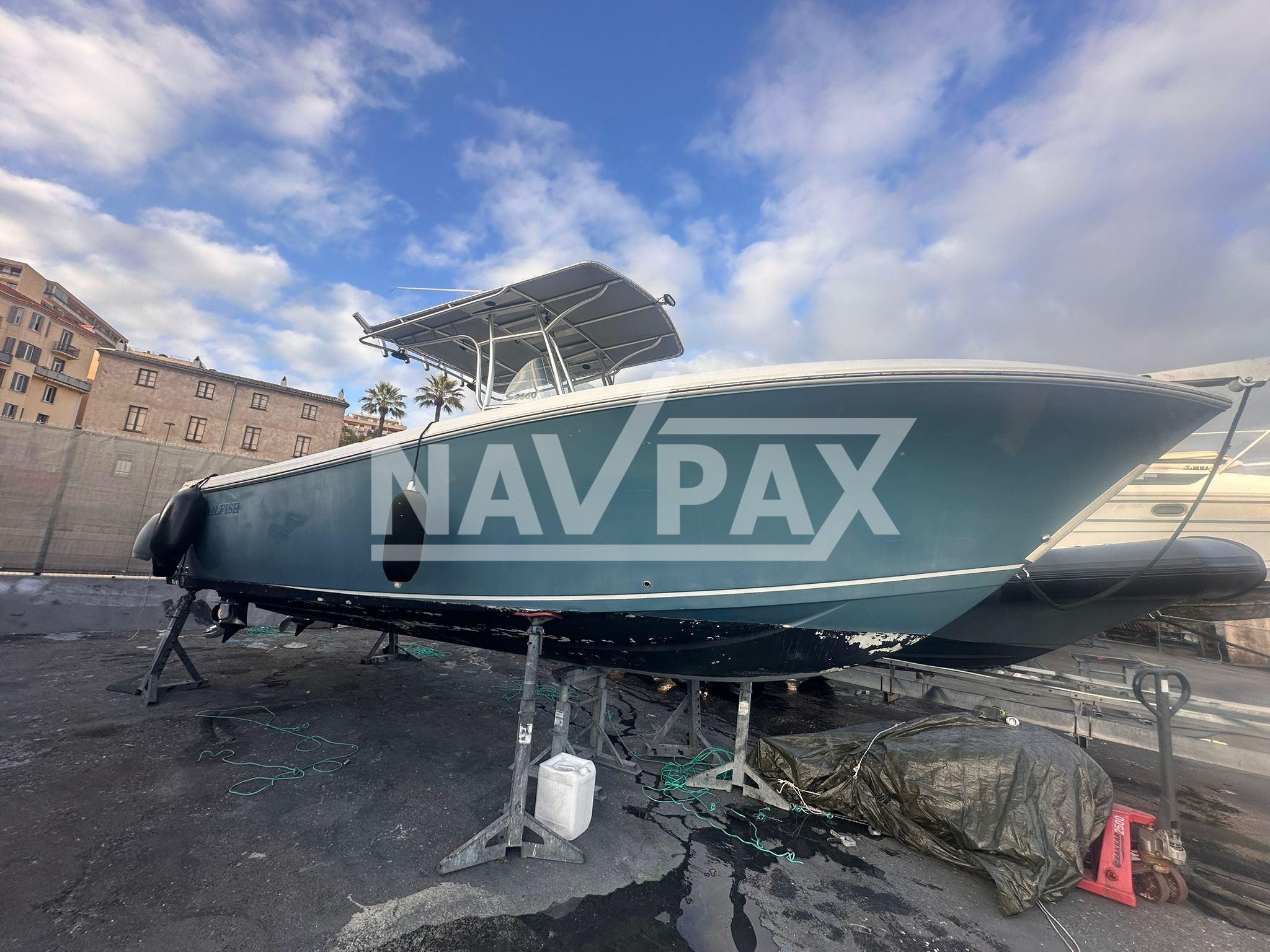 WhatsApp Image 2026 03 17 at 15.07.55 cleanup